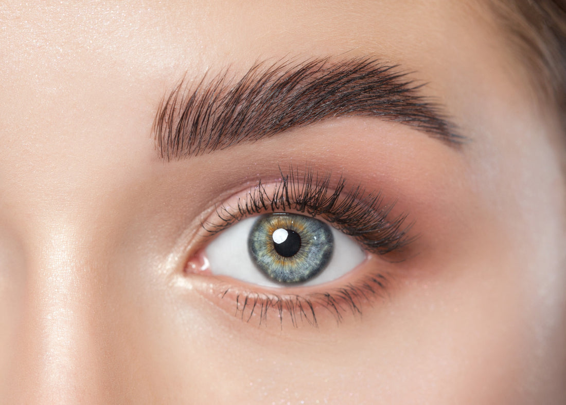 Which Lash Style Best Suits Your Eye Shape?